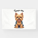 Suche nach yorkshire terrier banner Tier