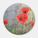 Suche nach rote mohnblumen magnete Feld