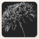 Suche nach chrysantheme untersetzer Blume
