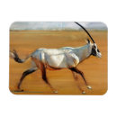 Suche nach hörner magnete Antilope