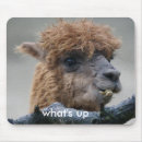 Suche nach lustiger bauernhof mousepads Tiere