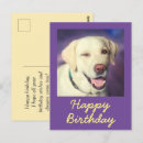 Suche nach labrador retriever karten Für sie