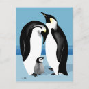 Suche nach baby pinguin postkarten Wildtiere