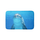 Suche nach delphinfische Meer