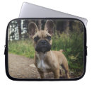 Suche nach doge laptop schutzhüllen Hund