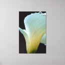 Suche nach wassertropfen leinwandbilder Blume