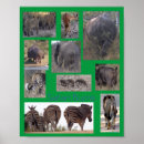 Suche nach safari kunst Jede person