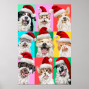 Suche nach lustiges weihnachten poster Feiertag