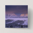 Suche nach snakes buttons Wyoming