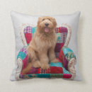 Suche nach vintage bilder kissen Fotografie