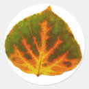 Suche nach grüner apfel aufkleber Natur