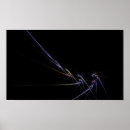 Suche nach kurven poster Design