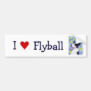 Suche nach flyball Border collie