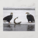 Suche nach sterben postkarten Erwachsen