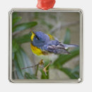 Suche nach americana ornamente Natur