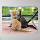 Suche nach balkon poster Fotografie