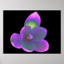 Suche nach mystic poster Blumenreich
