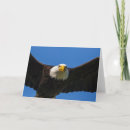 Suche nach weißkopfseeadler karten Flug