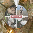 Suche nach haustier andenkensanhänger Jede person