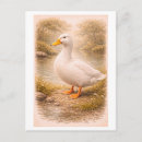 Suche nach weiße ente postkarten Illustration