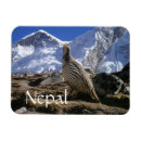 Suche nach himalaya magnete Neffe