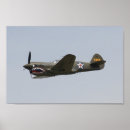 Suche nach p 40 poster Warhawk