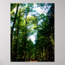Suche nach forrest poster Foto