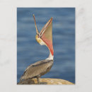 Suche nach mund offen postkarten Spaß