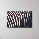 Suche nach tierhaut leinwandbilder Zebra
