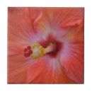 Suche nach orange hibiskus blume fliesen Tropisch