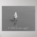Suche nach seemöwen alle poster Vögel