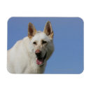 Suche nach schaferhund magnete Bob und pam langrish