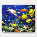 Suche nach unterwasser mousepads Für alle