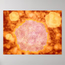 Suche nach dreidimensional poster 3d