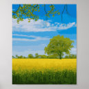 Suche nach blumenfeld poster Sommer