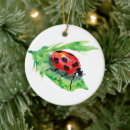 Suche nach ladybug ornamente Ladybird