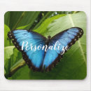 Suche nach blauer morpho schmetterling mousepads Natur