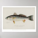 Suche nach schwach poster Retro