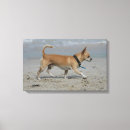 Suche nach bob leinwandbilder Meer