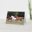 Suche nach arabisches pferd karten Bob sprache