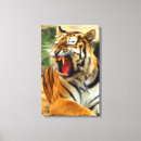 Suche nach brüllen leinwandbilder Tier