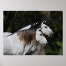 Suche nach together poster Horses
