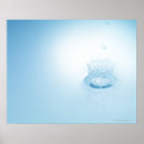 Suche nach wassertropfen poster Natur