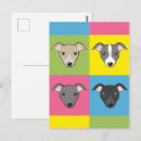 Suche nach italienischer windhund postkarten Whippet