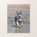 Suche nach schnauzer puzzle Spaß