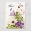 Suche nach anemonen postkarten Für sie/ihn