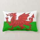 Suche nach wales flagge kissen Waliser