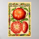 Suche nach rotes gemüse poster Für alle