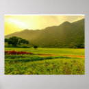 Suche nach tapeten poster Zimmer