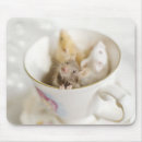 Suche nach drei tiere mousepads Sitzen